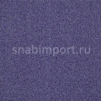 Ковровое покрытие Carpet Concept Uno 9221 Фиолетовый — купить в Москве в интернет-магазине Snabimport