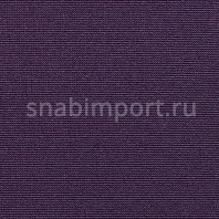 Ковровое покрытие Carpet Concept Uno 9226 Фиолетовый — купить в Москве в интернет-магазине Snabimport