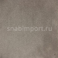 Ковровое покрытие Edel Vanity 159 — купить в Москве в интернет-магазине Snabimport
