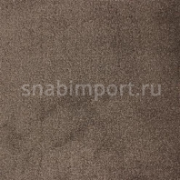 Ковровое покрытие Edel Vanity 173 — купить в Москве в интернет-магазине Snabimport