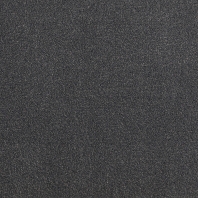 Ковровое покрытие Tapibel Altum Velvet-60251 Серый — купить в Москве в интернет-магазине Snabimport