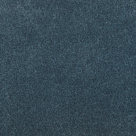 Ковровое покрытие Tapibel Altum Velvet-60263 Серый