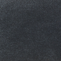 Ковровое покрытие Tapibel Altum Velvet-60265 чёрный — купить в Москве в интернет-магазине Snabimport