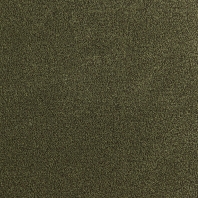 Ковровое покрытие Tapibel Altum Velvet-60271 зеленый
