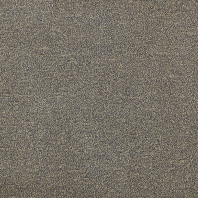 Ковровое покрытие Tapibel Altum Velvet-60276 Серый