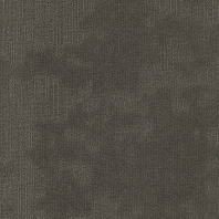 Ковровая плитка Modulyss Velvet-823 Серый — купить в Москве в интернет-магазине Snabimport