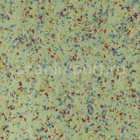 Коммерческий линолеум Tarkett Extra Vivid 15 — купить в Москве в интернет-магазине Snabimport