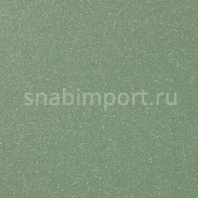 Коммерческий линолеум Altro Walkway 20 Roof Garden-VM2000P — купить в Москве в интернет-магазине Snabimport