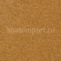 Ковровое покрытие Ulster Ulister Velvet Nutmeg W2009 коричневый — купить в Москве в интернет-магазине Snabimport