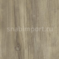 Дизайн плитка Forbo Allura wood w60082 коричневый — купить в Москве в интернет-магазине Snabimport