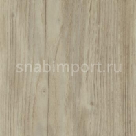 Дизайн плитка Forbo Allura wood w60084 Бежевый — купить в Москве в интернет-магазине Snabimport