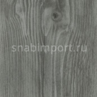 Дизайн плитка Forbo Allura wood w60087 Серый — купить в Москве в интернет-магазине Snabimport
