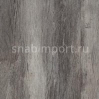 Дизайн плитка Forbo Allura wood w60147 Серый — купить в Москве в интернет-магазине Snabimport