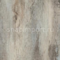 Дизайн плитка Forbo Allura wood w60148 Серый — купить в Москве в интернет-магазине Snabimport