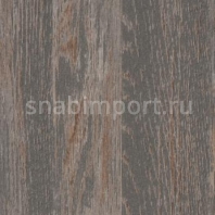 Дизайн плитка Forbo Allura wood w60161 Серый — купить в Москве в интернет-магазине Snabimport