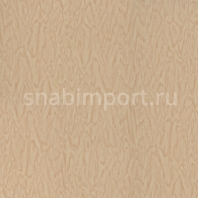 Дизайн плитка Forbo Allura Premium Plywood w60242 Бежевый — купить в Москве в интернет-магазине Snabimport