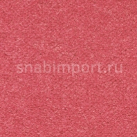 Ковровое покрытие Ulster Ulister Velvet Cyclamen W8622 розовый — купить в Москве в интернет-магазине Snabimport