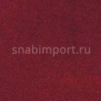 Ковровое покрытие Ulster Ulister Velvet Burgundy W9711 Фиолетовый — купить в Москве в интернет-магазине Snabimport