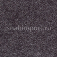 Ковровое покрытие Ulster Ulister Velvet Charcoal W9718 Серый — купить в Москве в интернет-магазине Snabimport