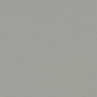 Натуральный линолеум Forbo Marmoleum Walton-171 Серый