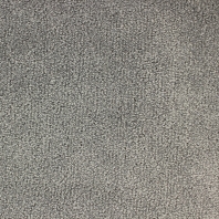 Ковровое покрытие Edel Whisper-169 Серый — купить в Москве в интернет-магазине Snabimport