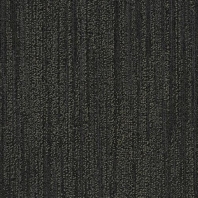 Ковровая плитка Mannington Against The Grain With the Grain Loop 15303 чёрный — купить в Москве в интернет-магазине Snabimport