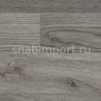 Акустический линолеум Polyflor Polysafe Wood FX Acoustix PUR 3352 Silver Oak — купить в Москве в интернет-магазине Snabimport