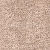 Ковровое покрытие Dura Premium Wool zenith 139 Бежевый — купить в Москве в интернет-магазине Snabimport