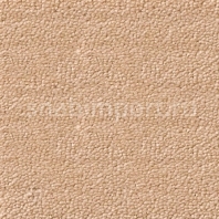 Ковровое покрытие Dura Premium Wool zenith 152 Бежевый — купить в Москве в интернет-магазине Snabimport