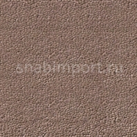 Ковровое покрытие Dura Premium Wool zenith 907 коричневый — купить в Москве в интернет-магазине Snabimport