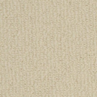 Ковровое покрытие Masland Woven 9246-101 Бежевый