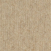 Ковровое покрытие Masland Woven 9246-103 Бежевый