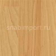 Коммерческий линолеум Altro Wood Smooth WarmBeech-WSM2058 — купить в Москве в интернет-магазине Snabimport