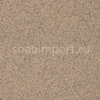 Коммерческий линолеум Altro Classic 25 Mushroom-X2542 — купить в Москве в интернет-магазине Snabimport