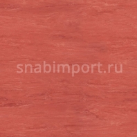 Коммерческий линолеум Polyflor XL PU 3840 Ruby — купить в Москве в интернет-магазине Snabimport