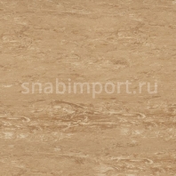 Коммерческий линолеум Polyflor XL PU 3900 Sablee Beige — купить в Москве в интернет-магазине Snabimport