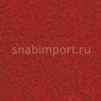 Ковровое покрытие Ulster York Wilton Redcurrant Y1014 Красный — купить в Москве в интернет-магазине Snabimport