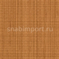 Виниловые обои Vycon Satori Y46321 коричневый — купить в Москве в интернет-магазине Snabimport