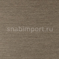 Виниловые обои Vycon Allure Y46650 коричневый — купить в Москве в интернет-магазине Snabimport