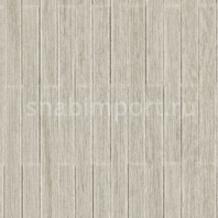 Виниловые обои Vycon Alder Wood Y46709 Серый — купить в Москве в интернет-магазине Snabimport