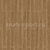 Виниловые обои Vycon Alder Wood Y46712 коричневый — купить в Москве в интернет-магазине Snabimport