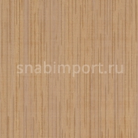 Виниловые обои Vycon Skyward Y46799 коричневый — купить в Москве в интернет-магазине Snabimport