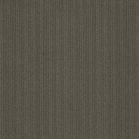 Ковровая плитка Amtico Elemental Spectrum Solids Grey Серый — купить в Москве в интернет-магазине Snabimport