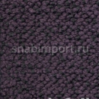 Ковровое покрытие Nordpfeil Performance Yucon 690 Фиолетовый — купить в Москве в интернет-магазине Snabimport