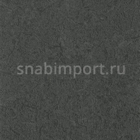Коммерческий линолеум Altro Zodiac Smooth Capricorn-ZD2004 — купить в Москве в интернет-магазине Snabimport