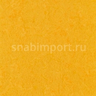 Коммерческий линолеум Altro Zodiac Smooth Solar-ZD2024 — купить в Москве в интернет-магазине Snabimport