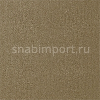 Ковровое покрытие Rols Zenit 025 серый — купить в Москве в интернет-магазине Snabimport