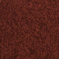 Ковровое покрытие Fletco Zenith 371260 коричневый — купить в Москве в интернет-магазине Snabimport