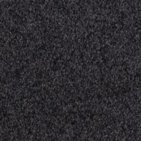 Ковровое покрытие Fletco Zenith 371380 чёрный — купить в Москве в интернет-магазине Snabimport