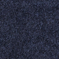Ковровое покрытие Fletco Zenith 371880 синий — купить в Москве в интернет-магазине Snabimport